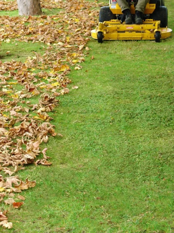 Copy-2-of-Leaf-Clean-up-Raking-Fall-Clean-up
