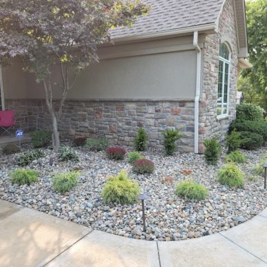 Walkway landscaping with decorative stone and curved edging beside home in Saint Charles Missouri