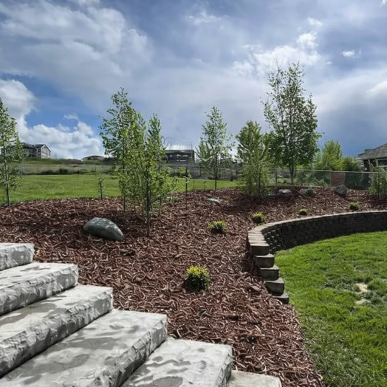 Stone landscape steps and decorative hillside garden with young trees and mulch installed by a landscaping company in Saint Charles Missouri.