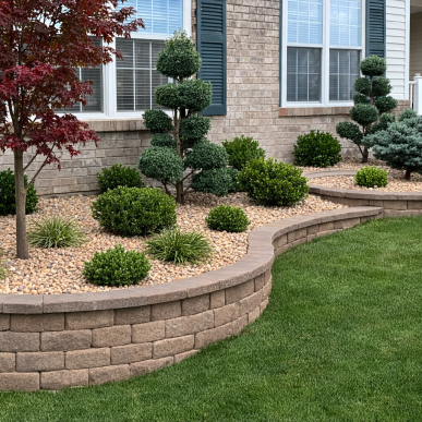 Curved retaining wall landscape bed with topiary shrubs, river rock, and ornamental plants in Saint Charles Missouri.