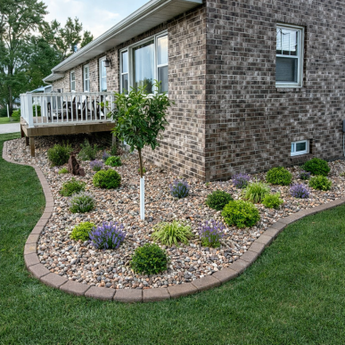 River rock landscape bed with small ornamental tree and plants installed next to a brick home in Saint Charles Missouri.